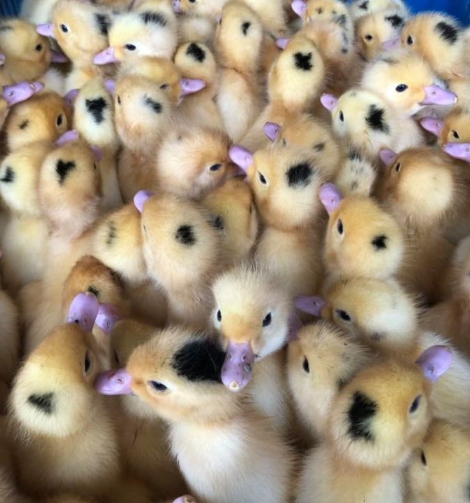 微信截图_20240629162856