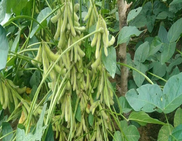 微信截图_20240629163856