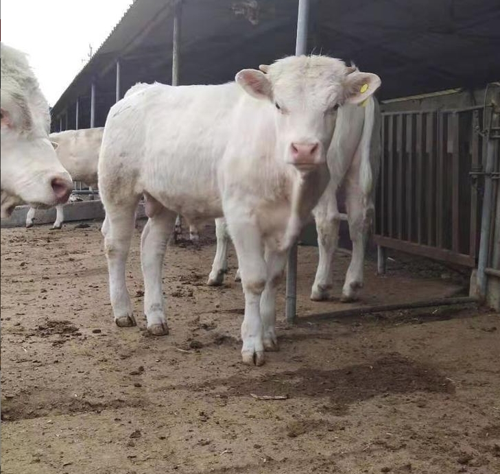 微信截图_20240629164236