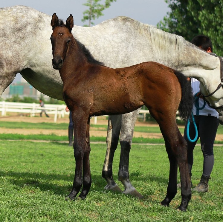 微信截图_20240629164423