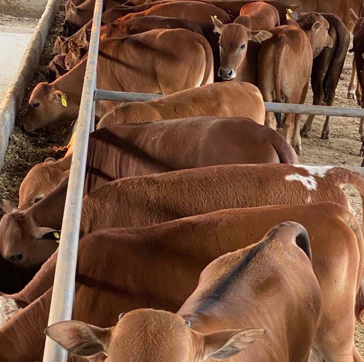 微信截图_20240629174134