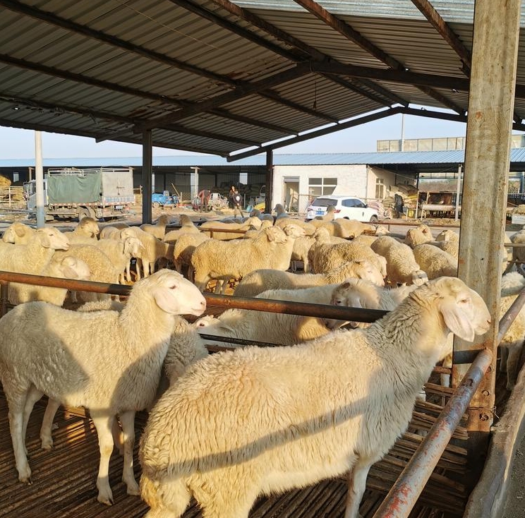 微信截图_20240629174233