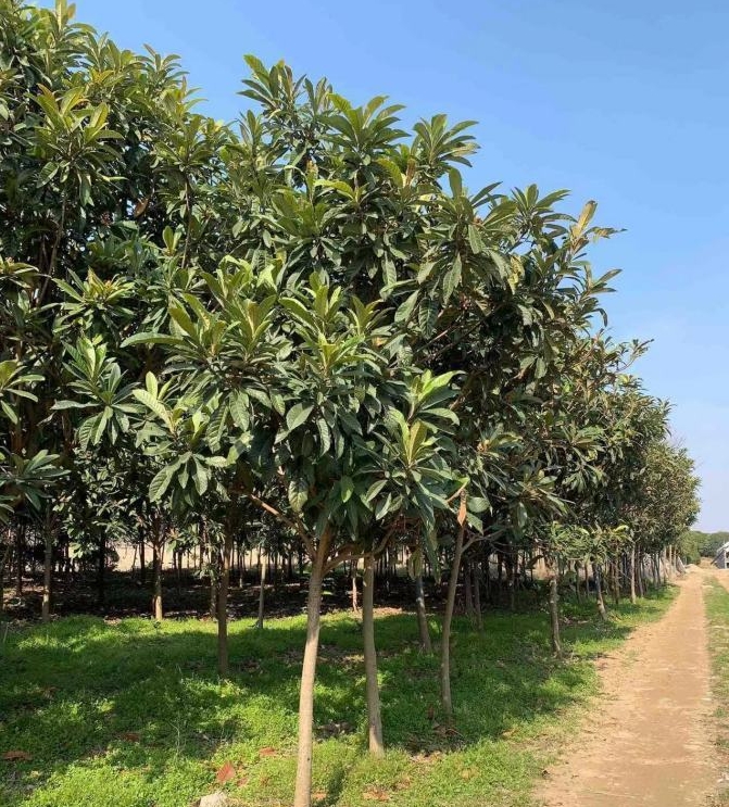 微信截图_20240629174350