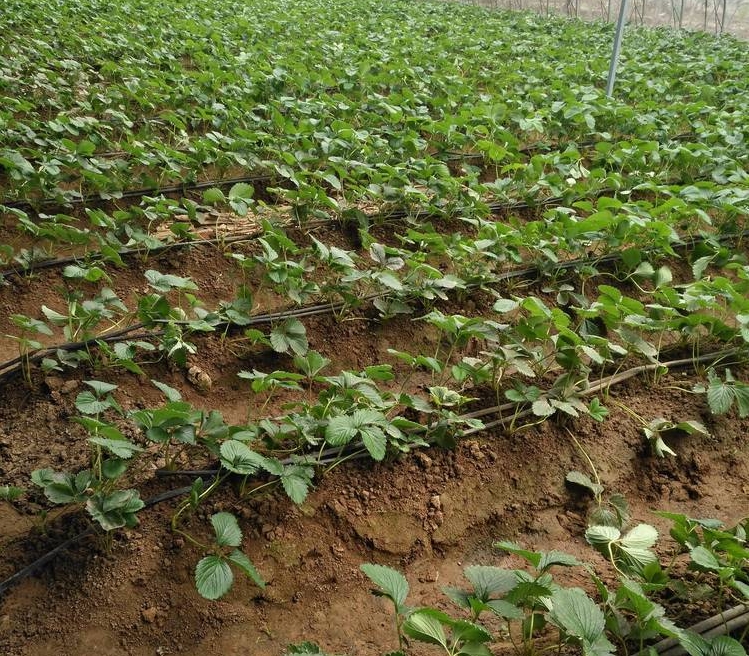 微信截图_20240629174458