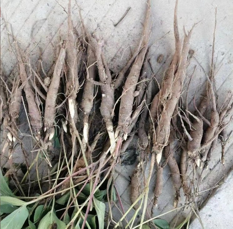 微信截图_20240629174946